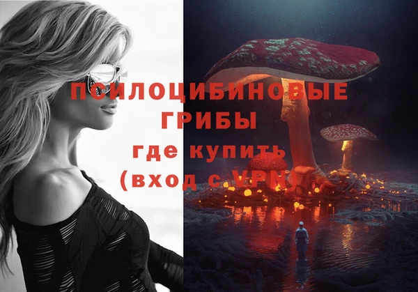 2c-b Волосово