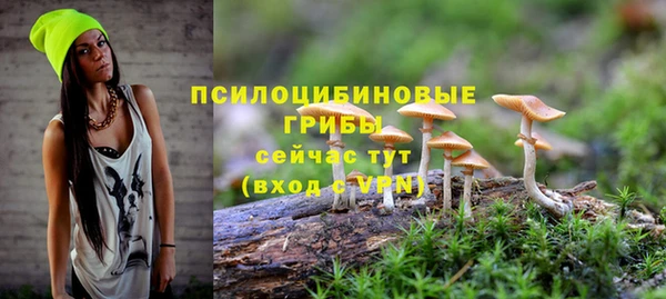 дурь Володарск